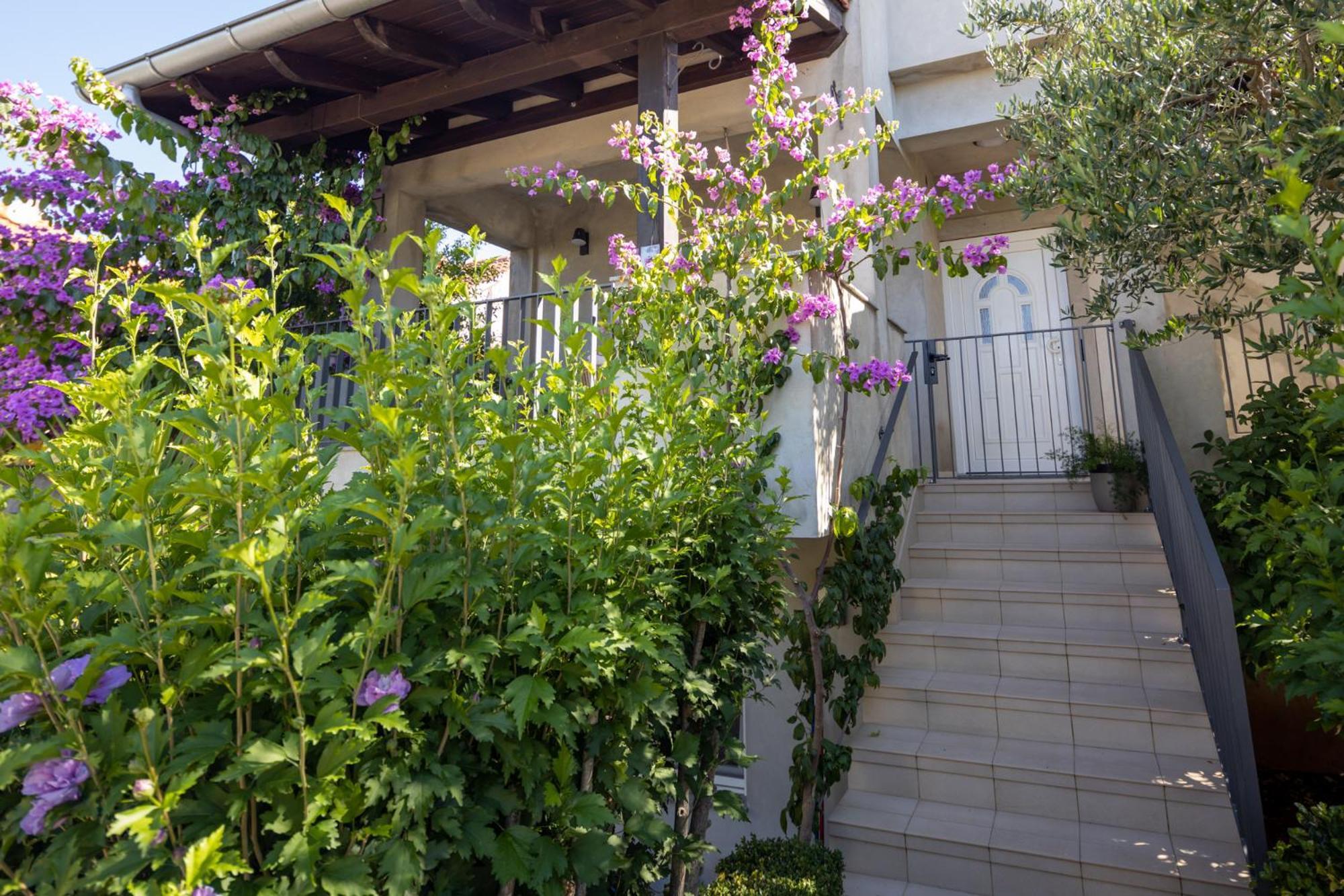 Lumaja Luxury Apartman Biograd Na Moru Exteriér fotografie